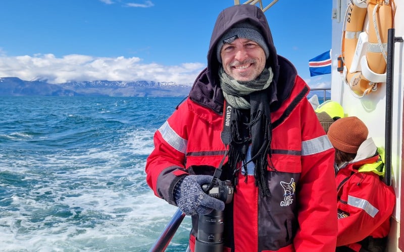 Hvalsafari ved island er en kæmpe oplevelse