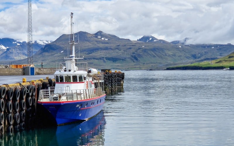 olafsvik hval safari island