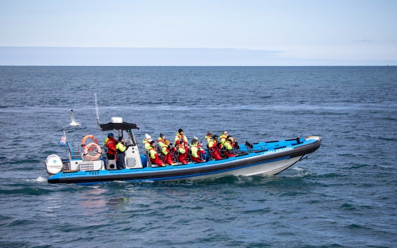 rib både til hvalture ved island