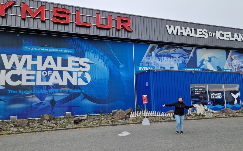 whales of iceland i reykjavik