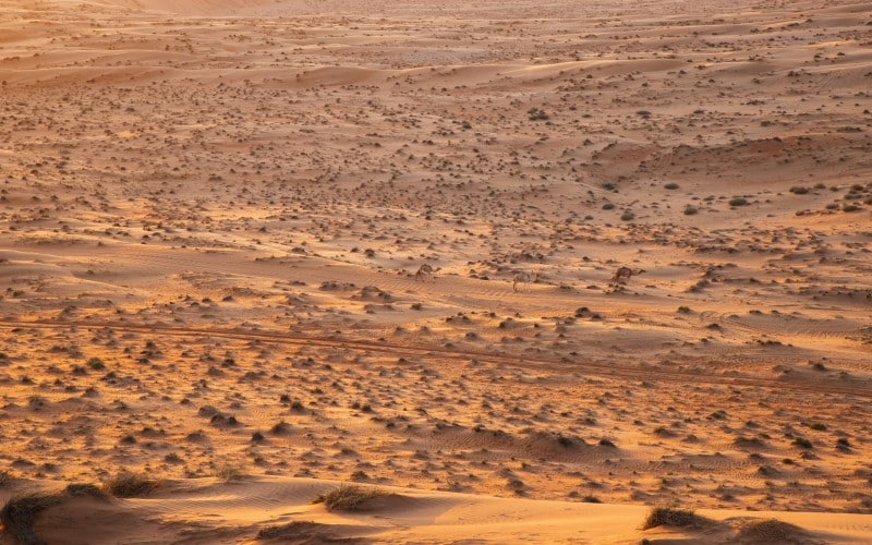 den store ørken wahiba sands i oman
