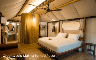 Hotel nær Khao Yai Nationalpark i Thailand - Lala Mukha