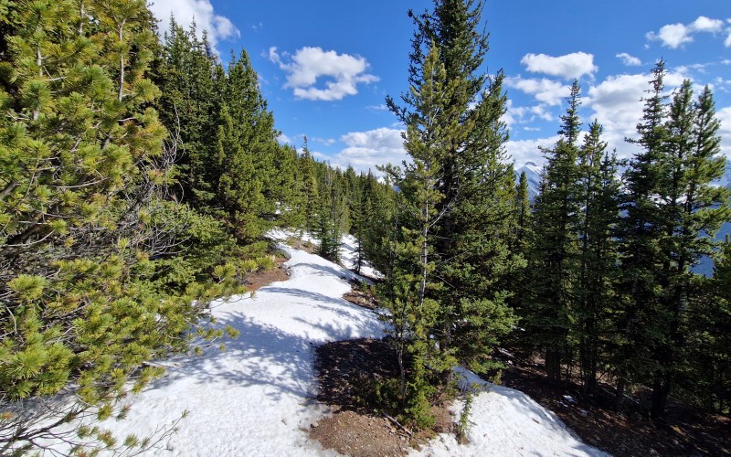 banff nationalpark om foråret