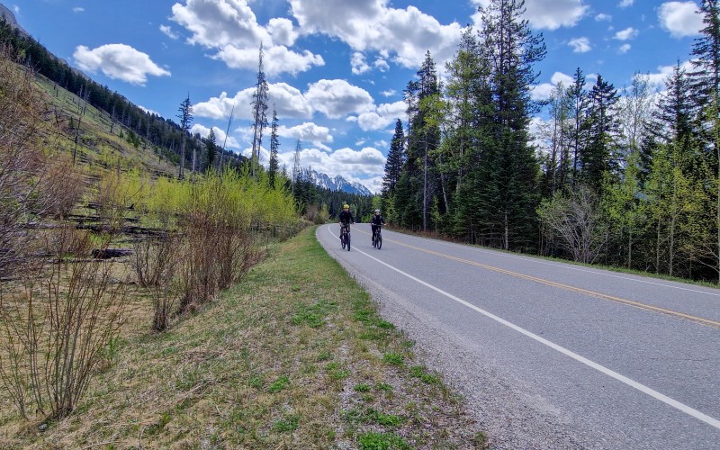 bow valley parkway i banff nationalpark