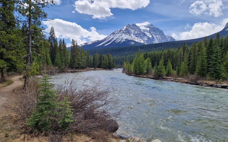 flod og udsigt ved lake louise campground