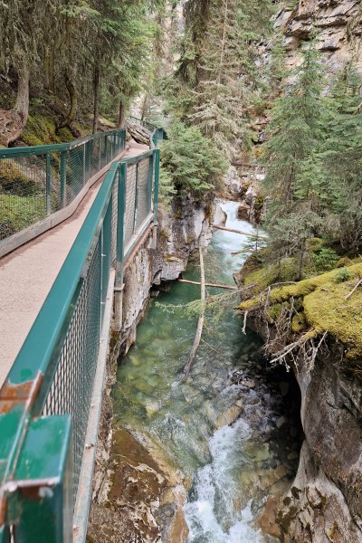 johnston canyon i banff nationalpark