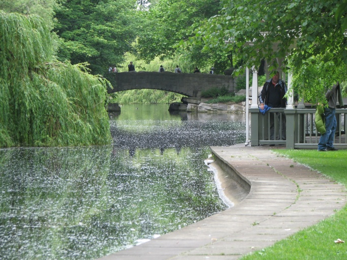 Park i Dublin