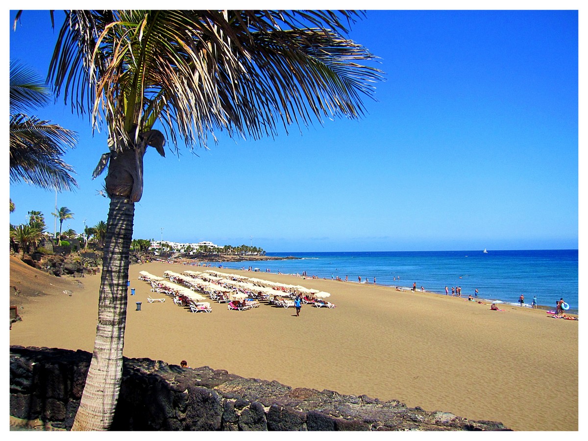 weer weersverwachting vakantie canarische eilanden lanzarote fuerte ventura  gran canaria