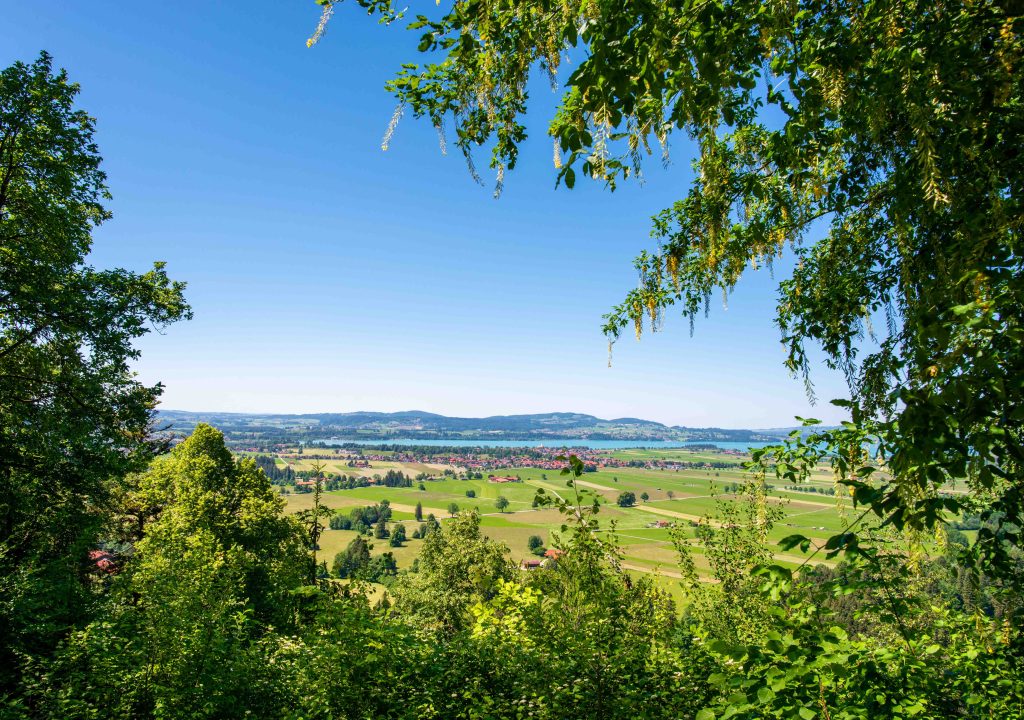 Neuschwanstein Aussicht