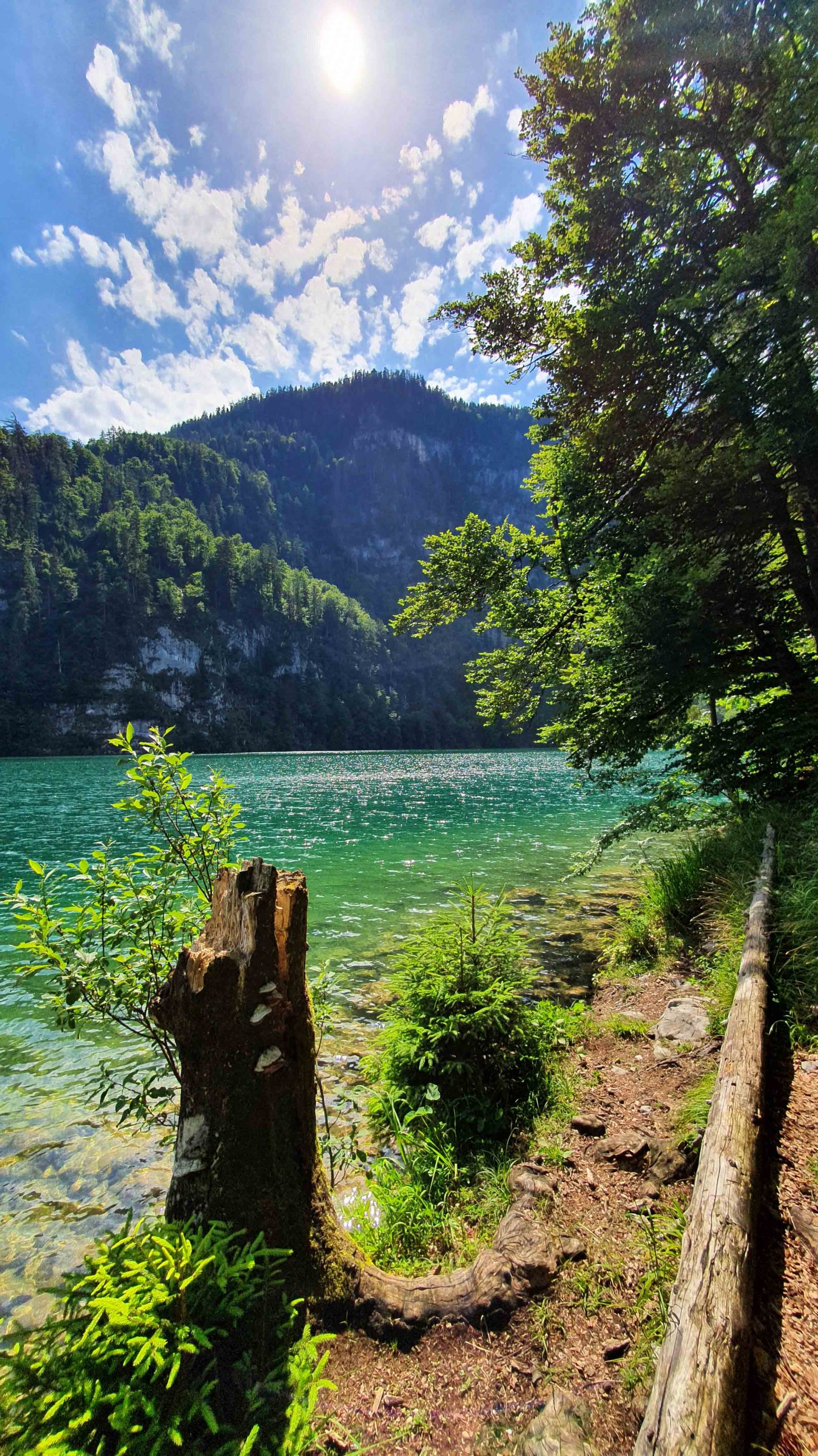 Königssee