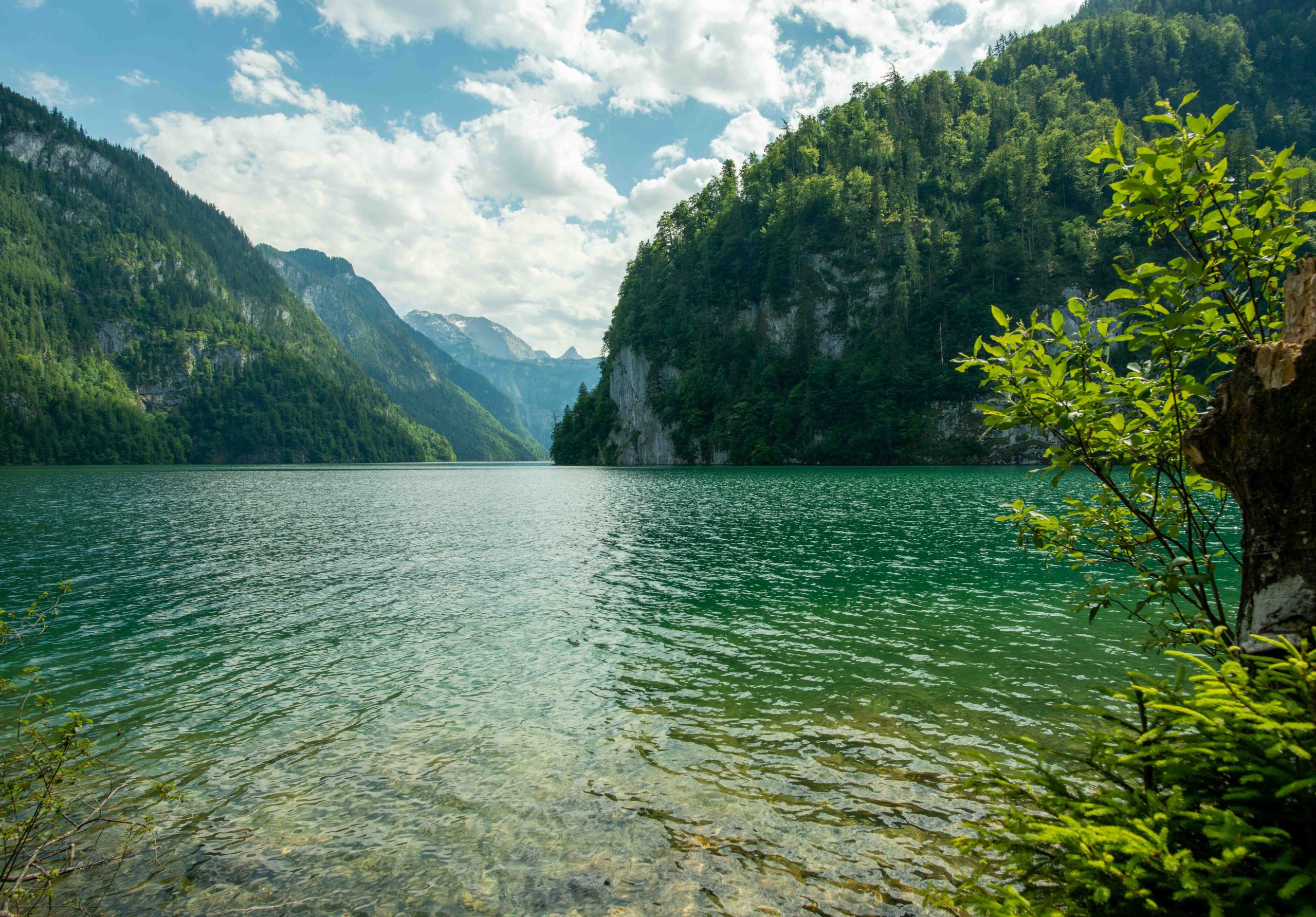 Königssee