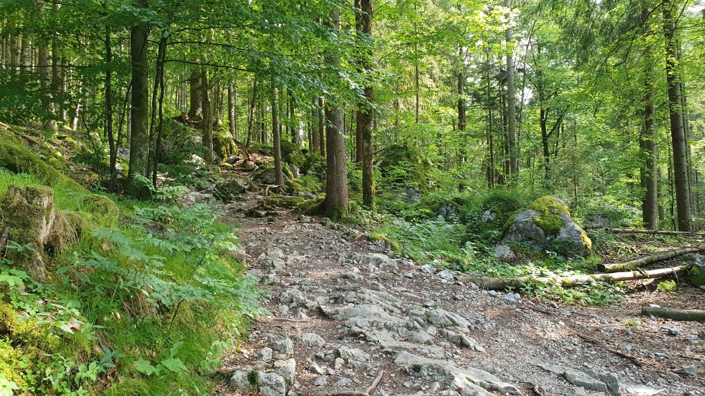zur Rabenwand