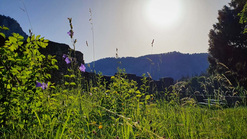 Ruine Karlstein Hof