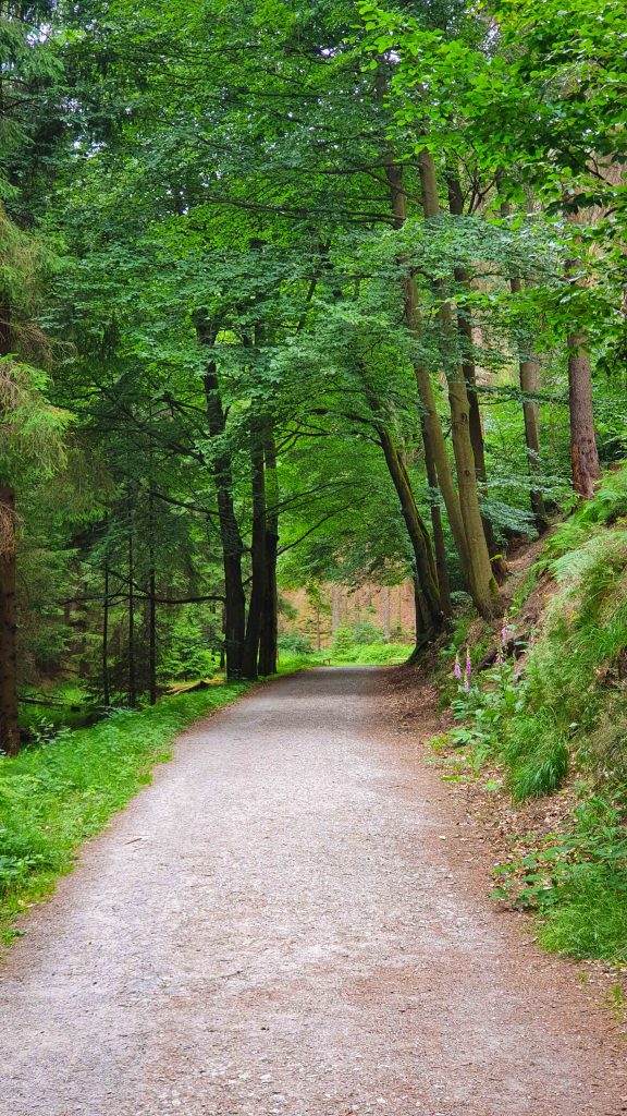 Aufstieg Heilige Stiege