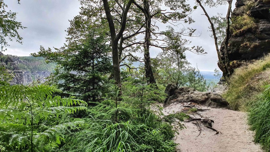 Weg zum Carolafelsen