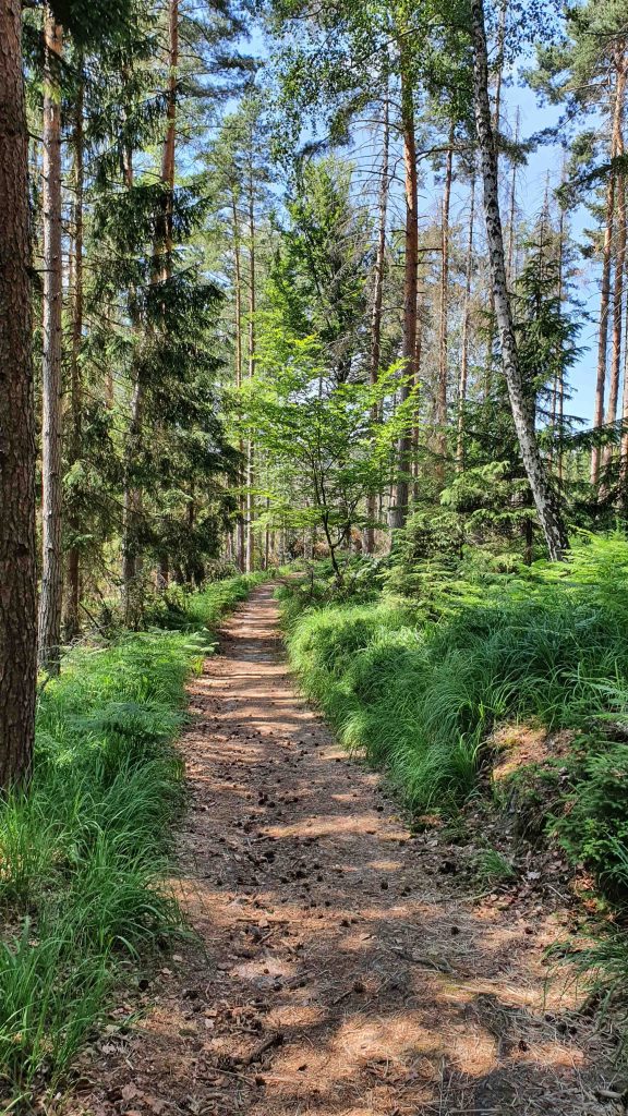 Waldweg