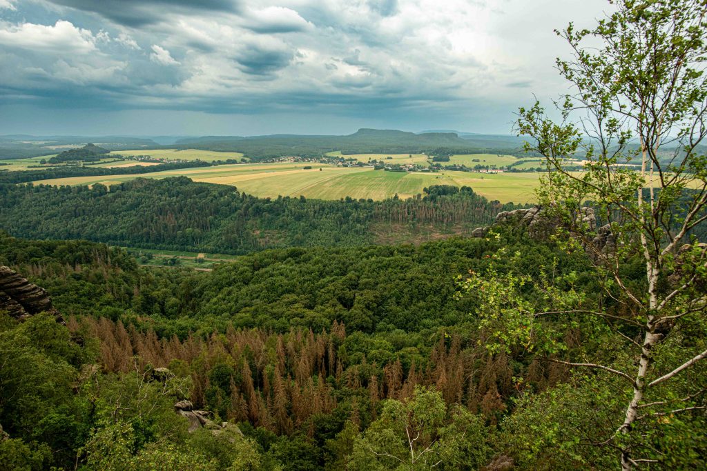 Aussicht von den Schrammsteinen