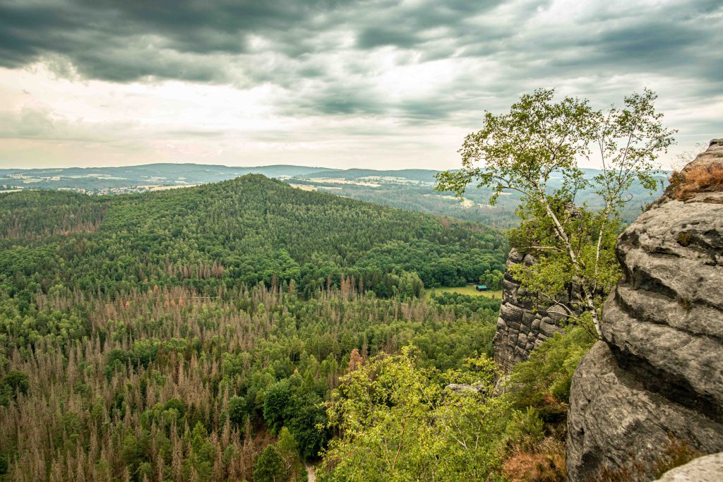 Aussicht von den Schrammsteinen