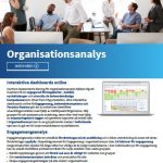 organisationsanalys Broschyr organsiationsanalys Harrison Assessments