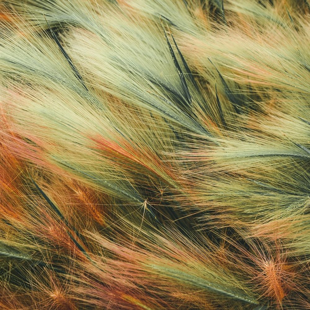 background-4561421_1280