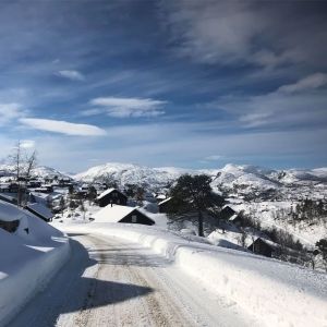 sirdal-renthjem