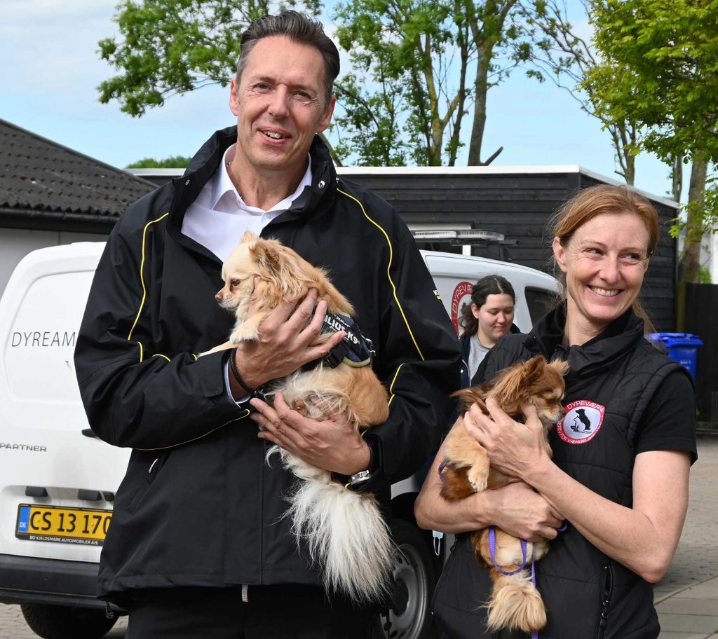 Hundene logrede Deres hjem stod rent! - RENT i Danmark