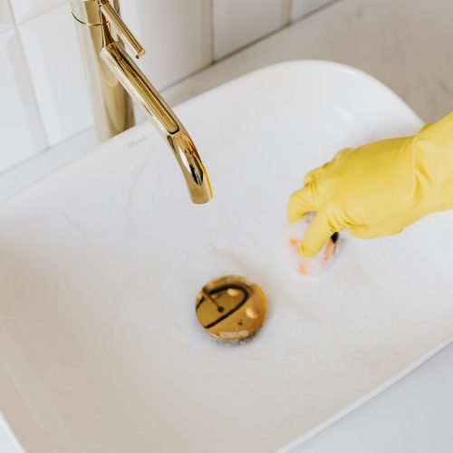 Canva - Person in glove using sponge with detergent for cleaning sink