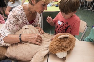 Een kapotte knuffel kun je zelf oplappen (foto: Martin Waalboer)