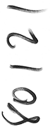 80121-2