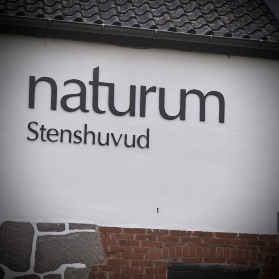 Stenshuvud nationalpark – vandring, utsikt och strandhäng i Skåne