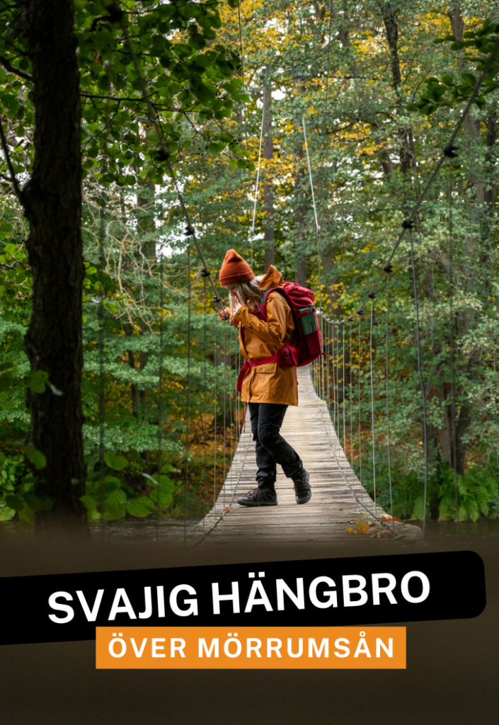 Hängbro över Mörrumsån