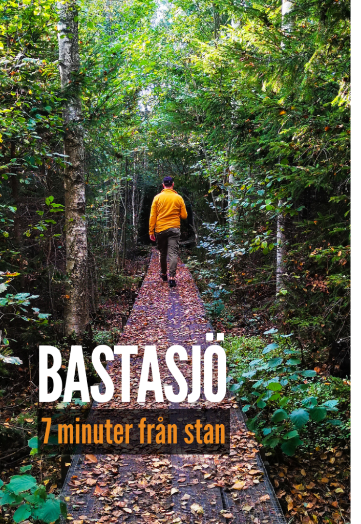 Bastasjö friluftsområde