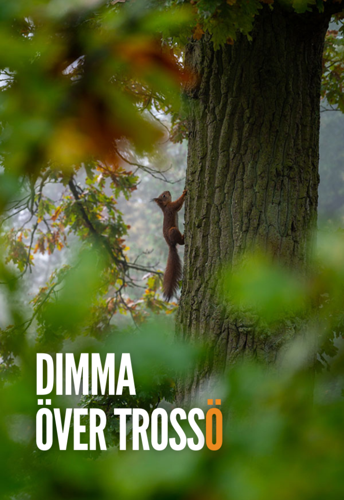 Dimma över Trossö, Karlskrona