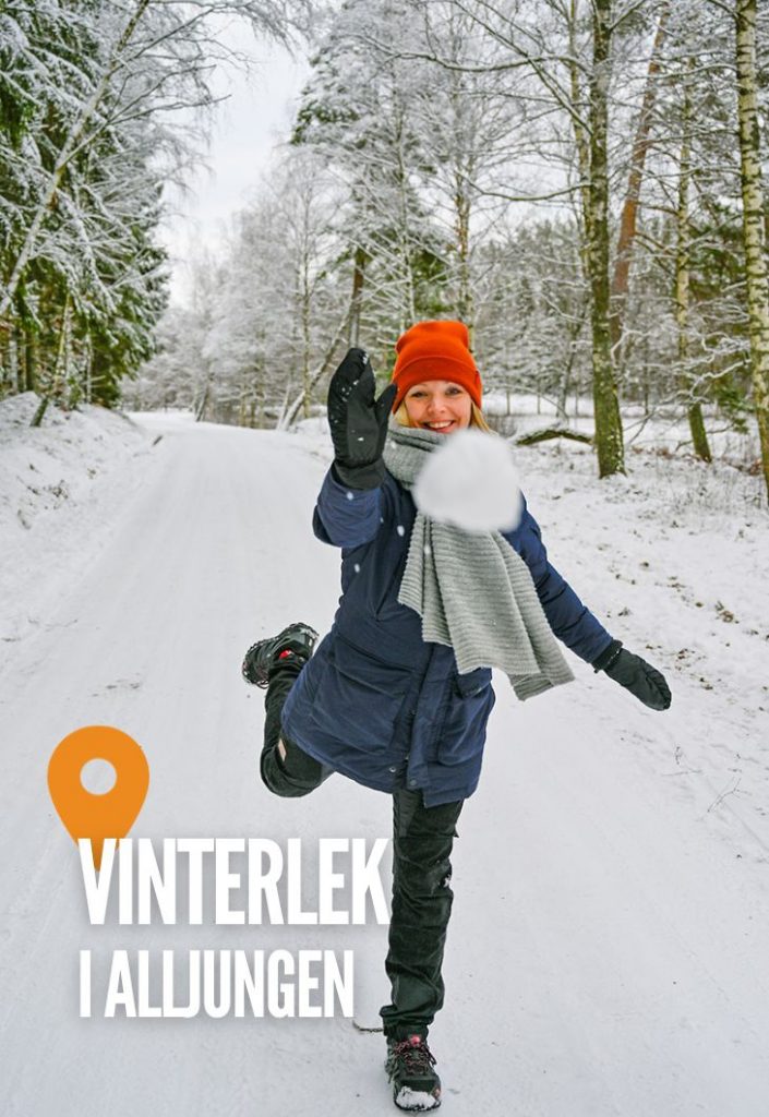 Vinter i Alljungen