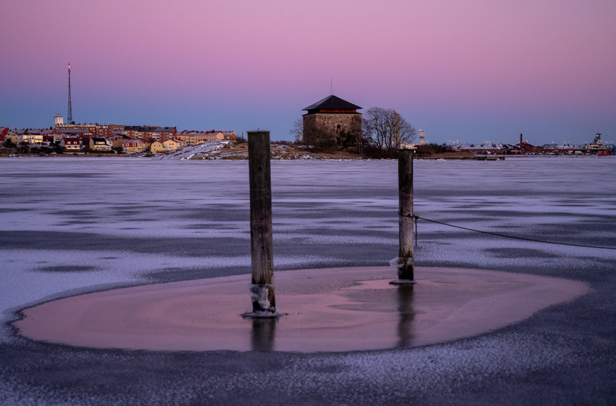 Ljungskär i magiskt vinterljus