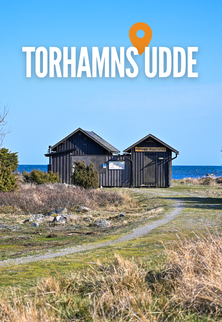 Torhamns udde, Karlskrona