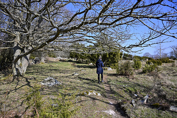 Promenad i Torhamns naturreservat