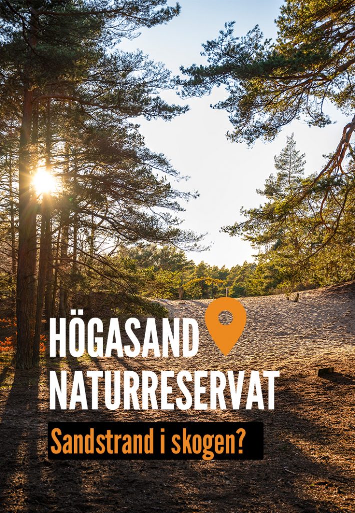 Högasand naturreservat