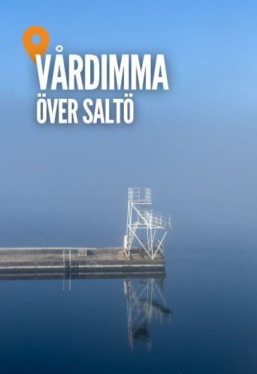 Vårdimma över Saltö