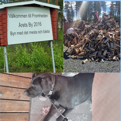 Reslusta Roadtrip till Norrland