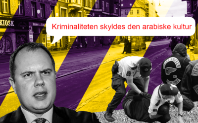 I Danmark anskuer vi kriminalitet forskelligt afhængigt af gerningsmandens etniske ophav