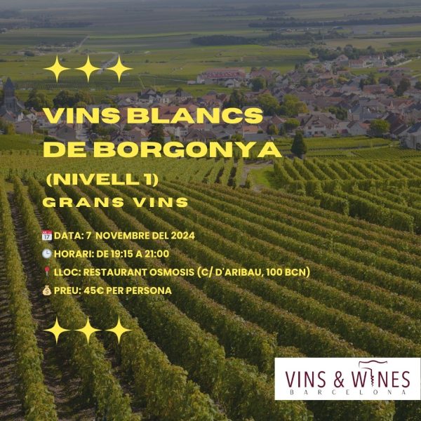 Càpsula Formativa: Introducció als Vins Blancs de Borgonya (Nivell 1)