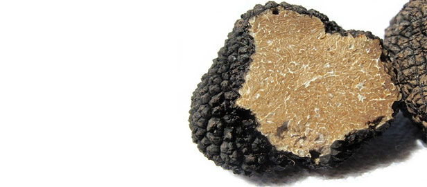 La truffe noire