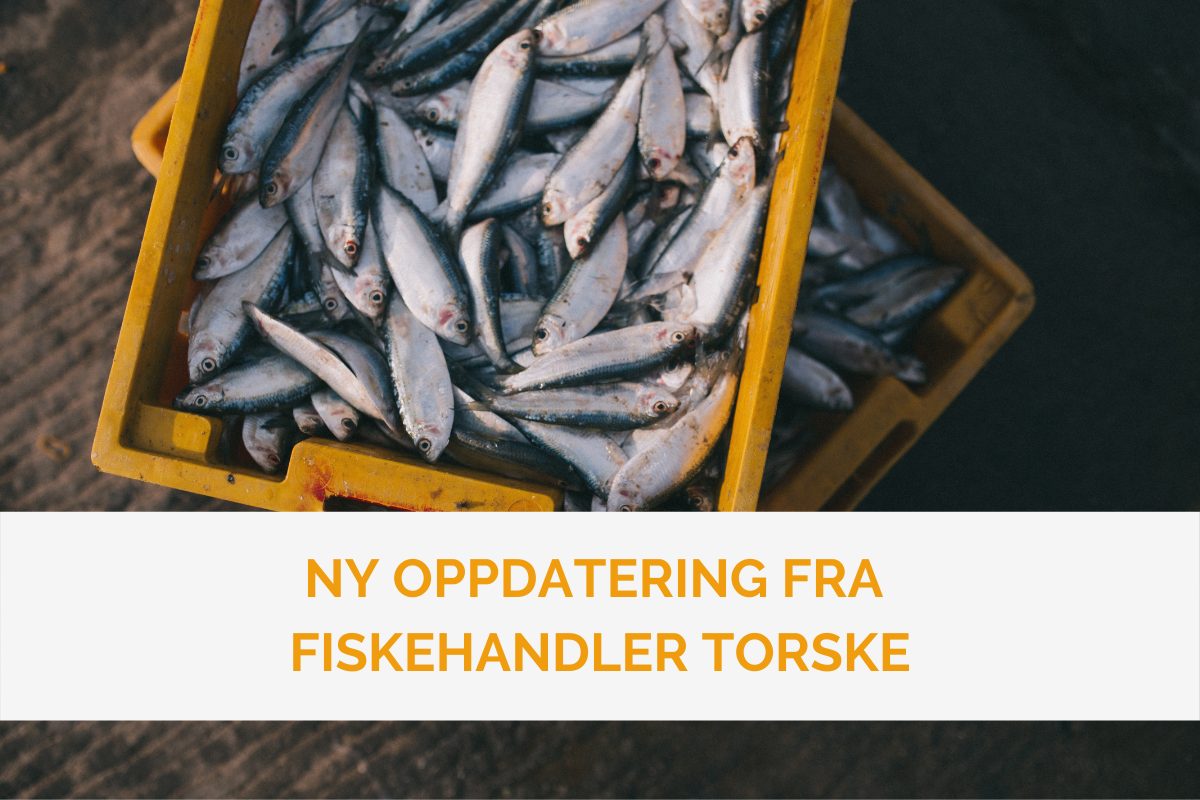 NY OPPDATERING OM TURENE I 2021