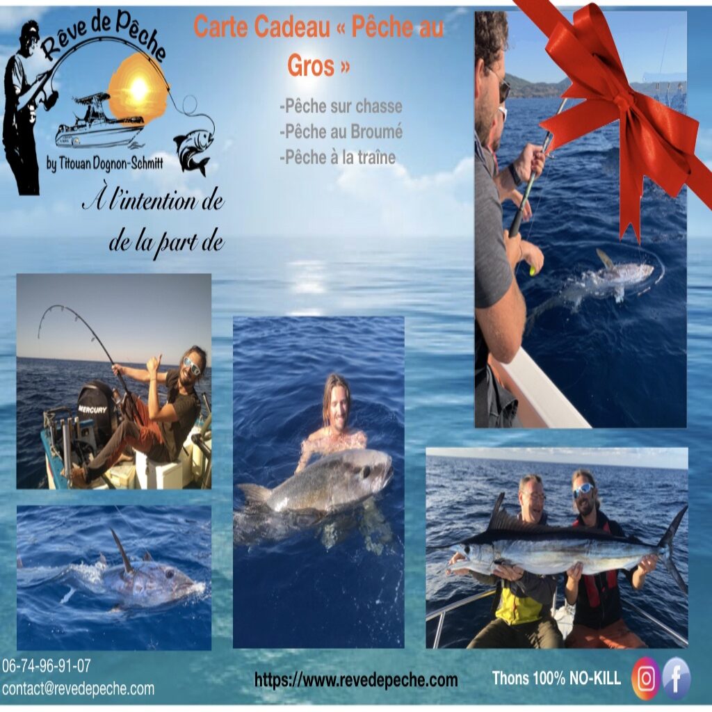 🎁🐟IDÉE CADEAU 🎁🐟 - Rêve de Pêche Moniteur Guide de Pêche en mer Var