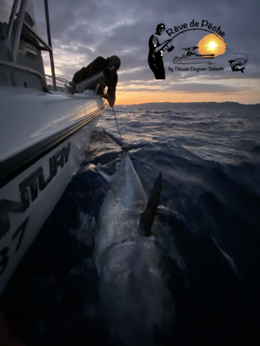 Pêche aux gros Var le lavandou hyères toulon