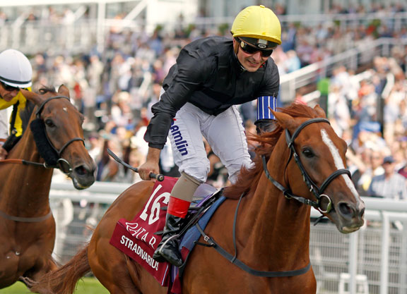 Why Goodwood Cup Favourite Stradivarius is as Great as His Odds Suggest