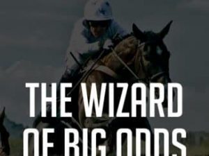 wizard of big odds review
