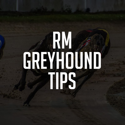 RM Greyhound Tips Review