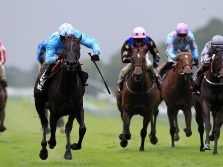 10 Best Horse Racing Tipsters